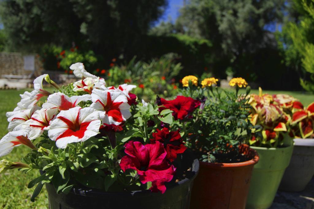 Saint Thomas Village Lefkada City Bagian luar foto